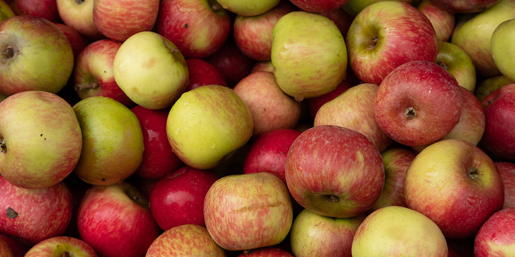Apple Crisp Cheesecake Recipe from Calhoun Bend Mill